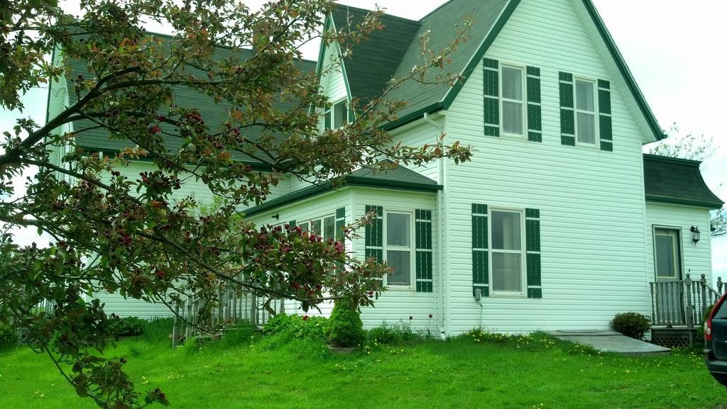 Lovely Green Gable Home Miscouche Dış mekan fotoğraf