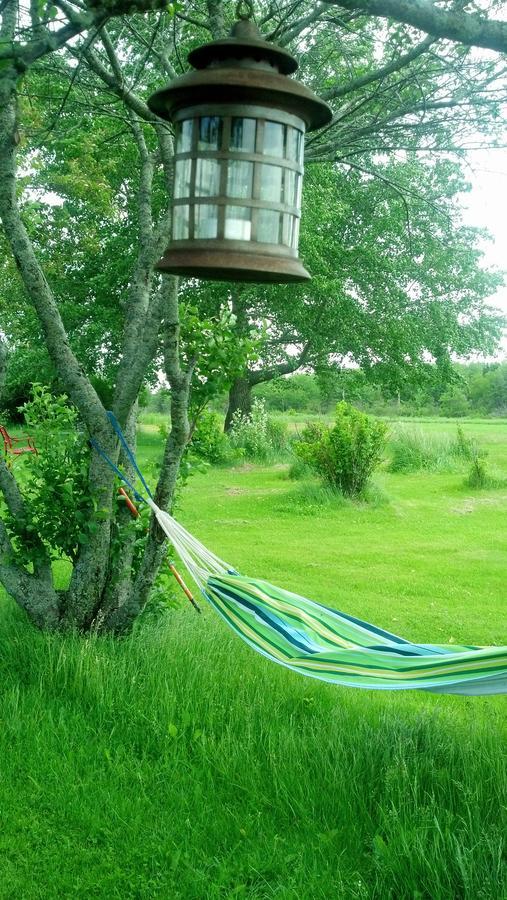 Lovely Green Gable Home Miscouche Dış mekan fotoğraf